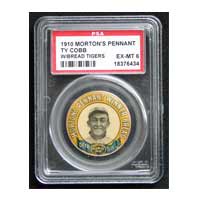 ty cobb detroit tiger morton pin